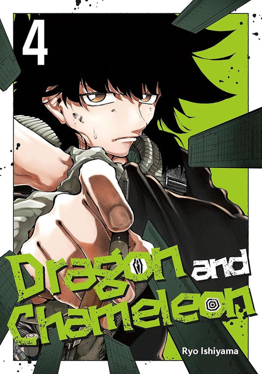 Dragon and Chameleon 04 cover image